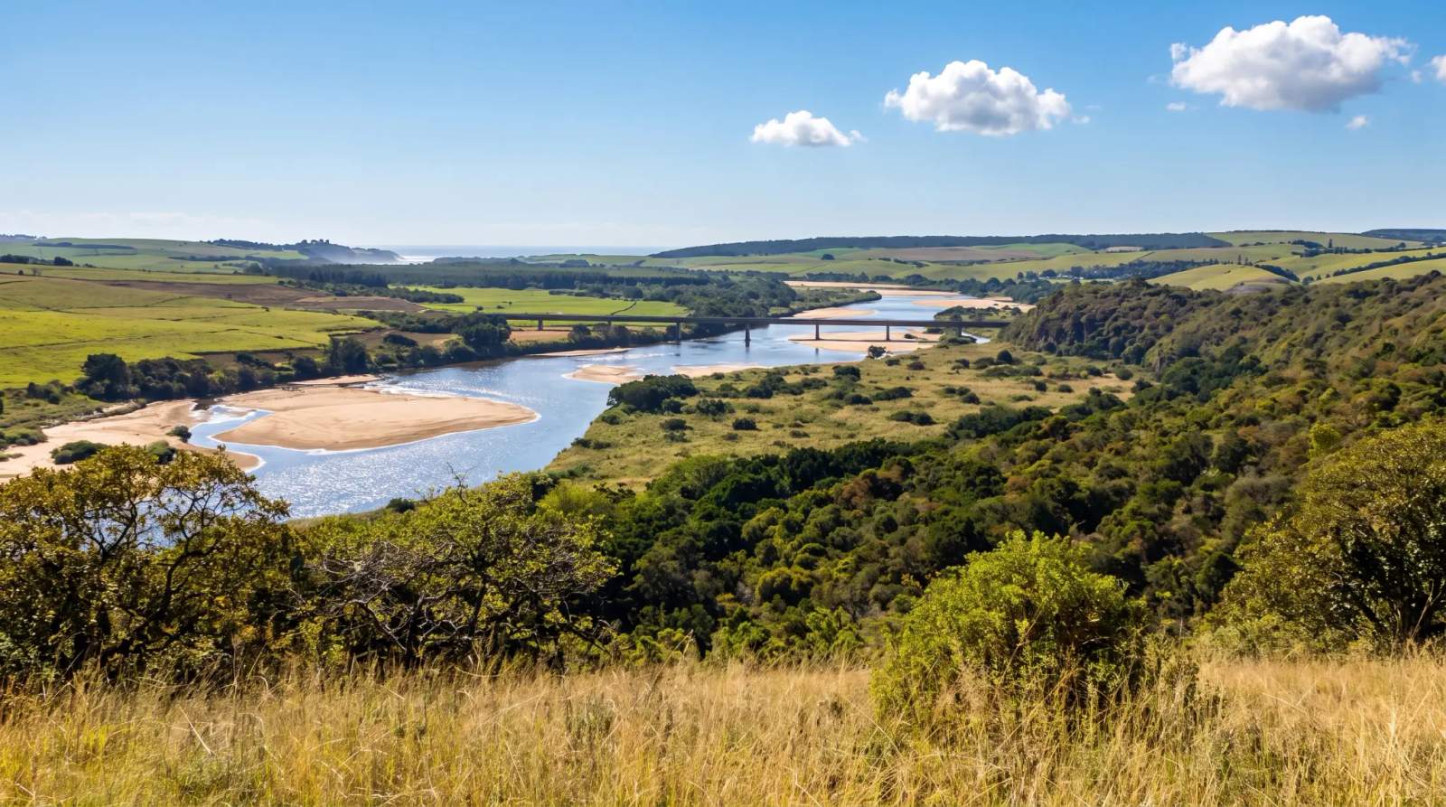 A sunny day at Harold Johnson Nature Reserve.