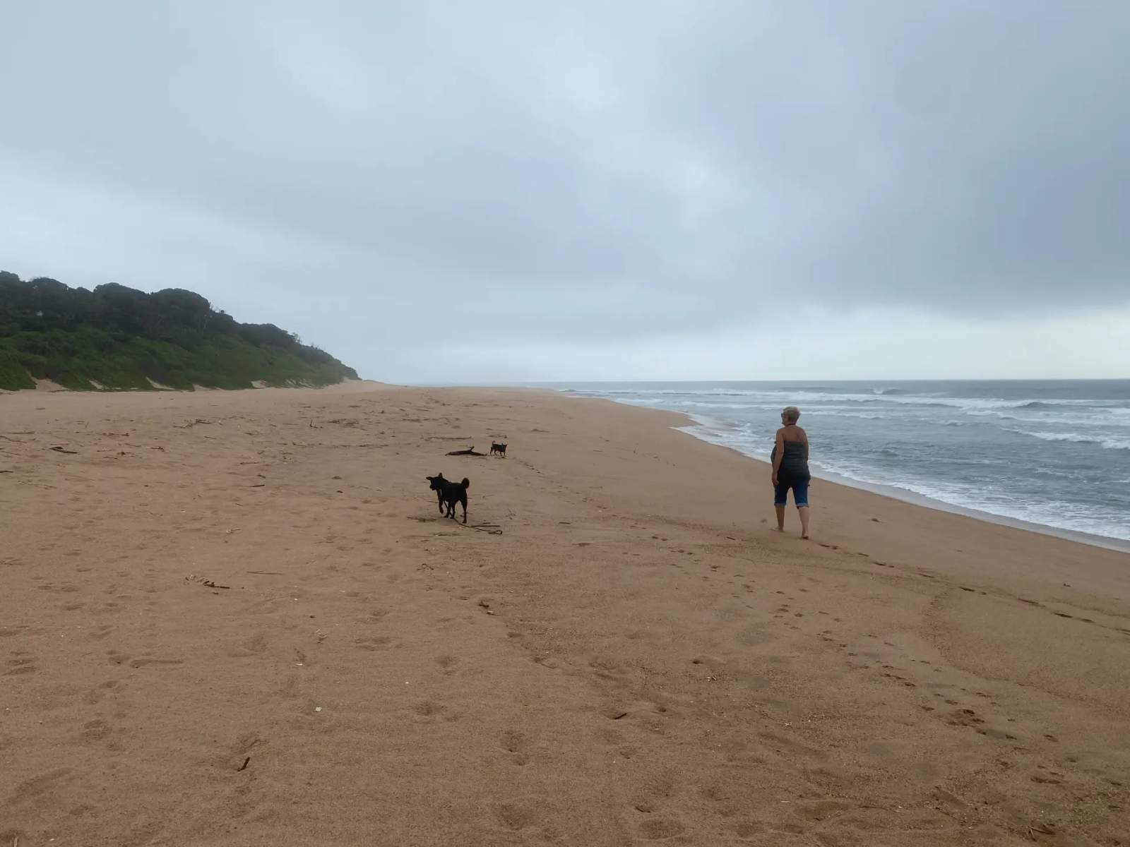 A person and two dogs walk along a wide, sandy beach at Zinkwazi with the ocean and green hills in the distance.