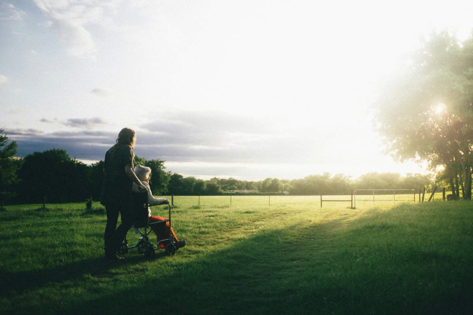 A person pushes someone in a wheelchair across a sunny field.