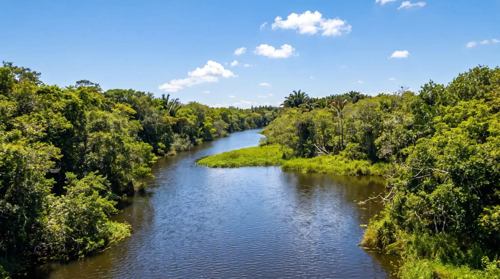 iSimangaliso Wetland Park on a summer's day.