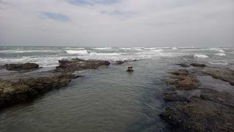 Black Rock Park — photo 5