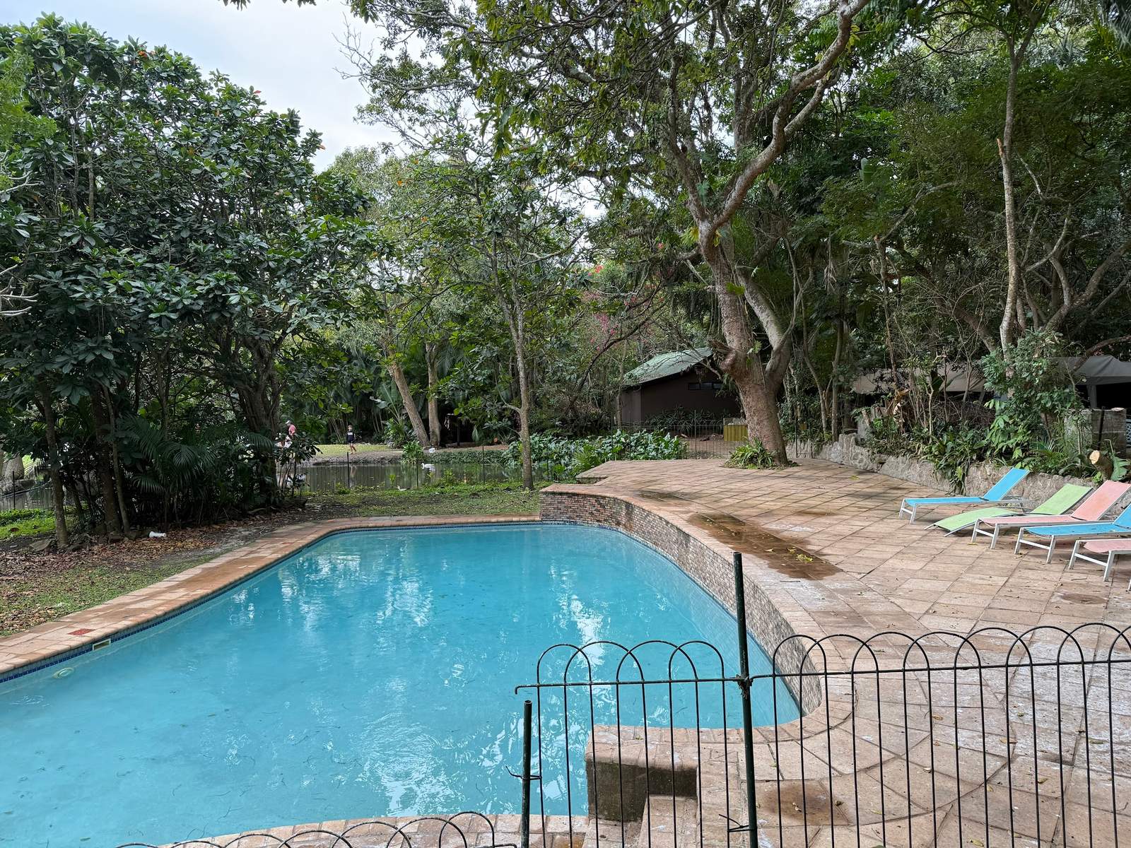 Zinkwazi Lagoon Lodge — photo 3