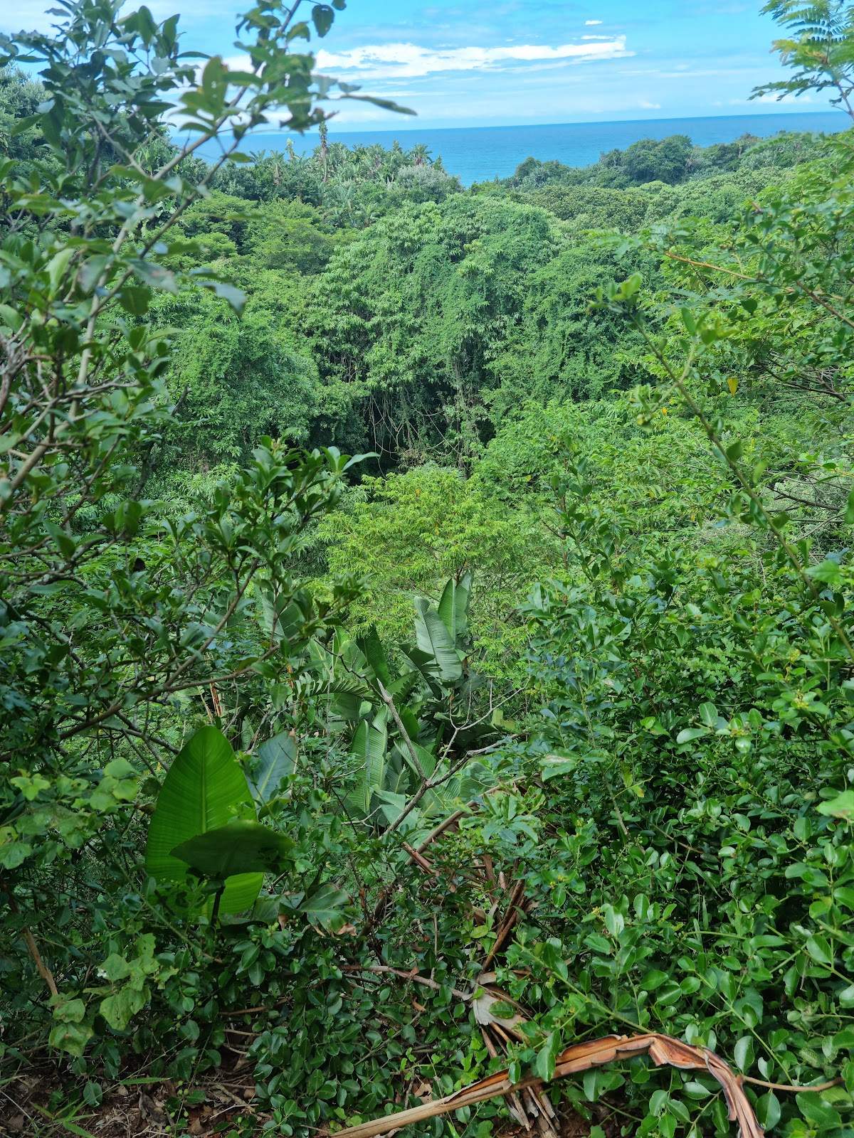 Zinkwazi Forest Trails — photo 1