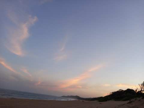 Zinkwazi Forest Trails — photo 4