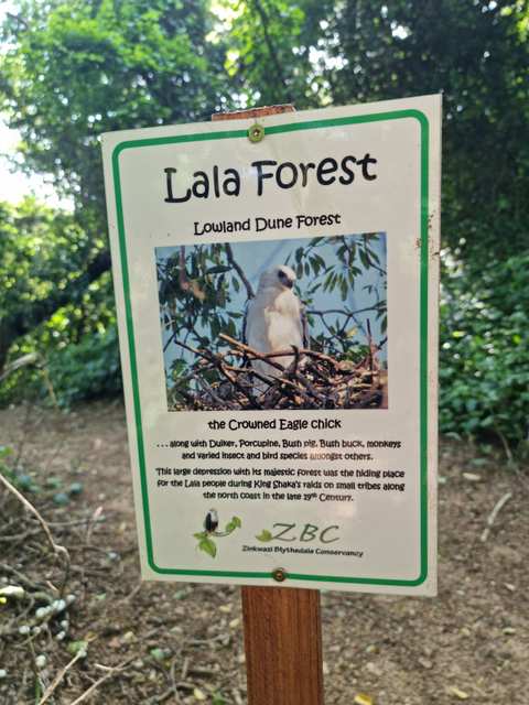 Zinkwazi Forest Trails — photo 5