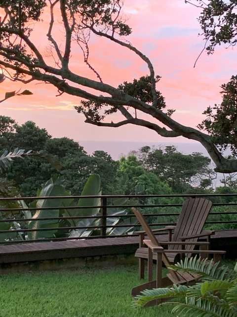 Magical views of the forest and the ocean — photo 4