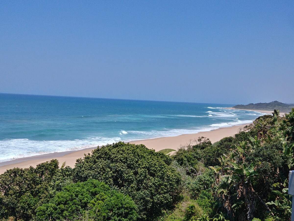 Dolphin Views — photo 1