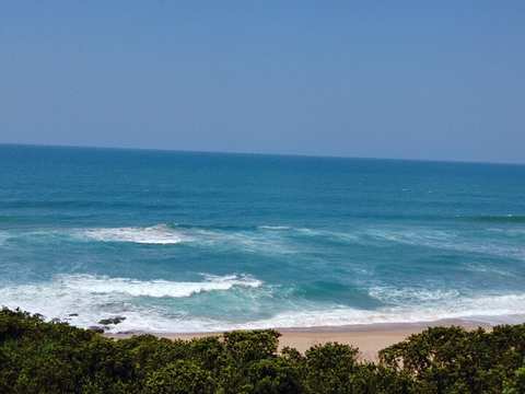 Dolphin Views — photo 2