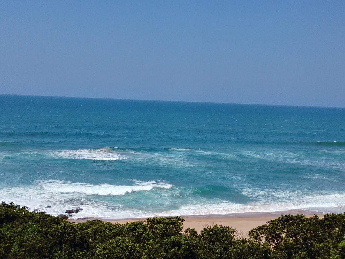 Dolphin Views — photo 2