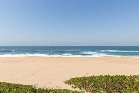 Dolphin Views — photo 4